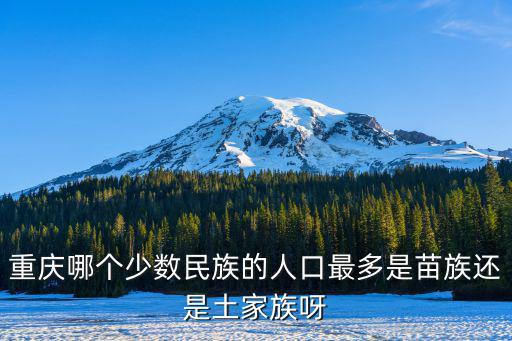 重慶哪個少數民族的人口最多是苗族還是土家族呀