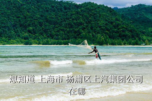 想知道 上海市 楊浦區(qū)上汽集團(tuán)公司 在哪