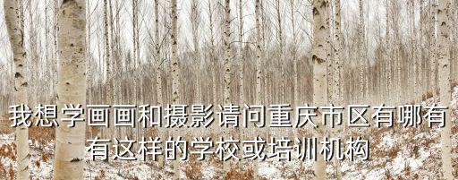 我想學畫畫和攝影請問重慶市區有哪有有這樣的學?；蚺嘤枡C構
