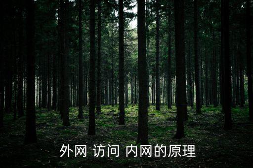外網訪問內網,本地企業如何進行數碼轉型
