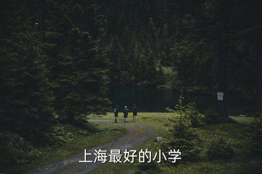 整個(gè)上海市最好的小學(xué)，在上海市區(qū)各區(qū)能各說(shuō)23個(gè)好的小學(xué)么