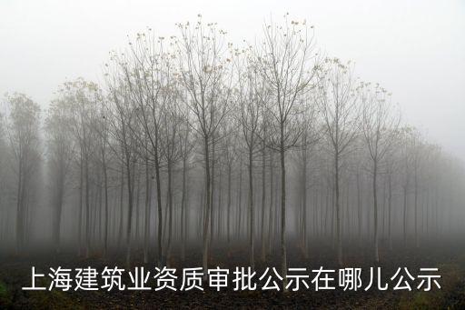 上海市政府公示，上海建筑業(yè)資質(zhì)審批公示在哪兒公示