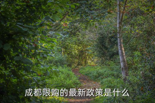 成都市購買第二套房限購政策，請問成都買房限購的政策我還可以買二套房不