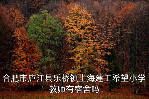 合肥市廬江縣樂橋鎮上海建工希望小學教師有宿舍嗎