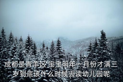 成都是青羊區(qū) 寶寶明年一月份才滿三歲到底該什么時候去讀幼兒園呢