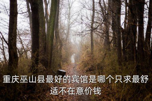 重慶巫山縣最好的賓館是哪個只求最舒適不在意價錢