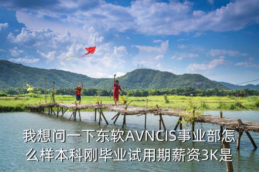 我想問一下東軟AVNCIS事業部怎么樣本科剛畢業試用期薪資3K是