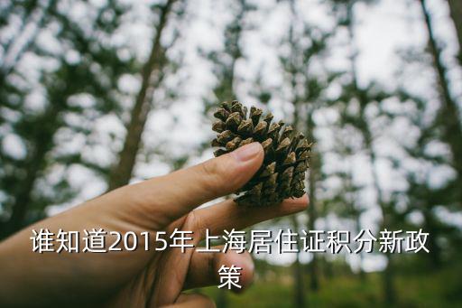 誰(shuí)知道2015年上海居住證積分新政策