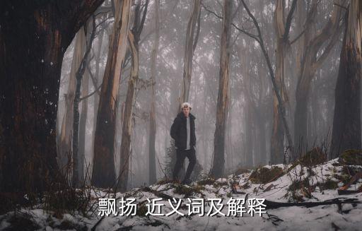 飄揚(yáng)的近義詞是什么,飄揚(yáng)近義詞:如玉的雪花飄揚(yáng)