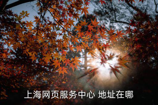 上海網頁服務中心 地址在哪