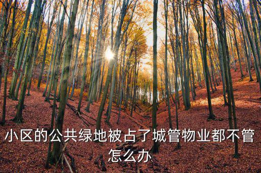 成都市對(duì)侵占公共綠地的治理，生活關(guān)于私自占用小區(qū)公共綠地有相關(guān)法律規(guī)定嗎