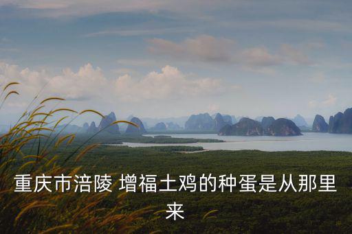 重慶市涪陵區增福鄉土雞節，重慶涪陵地區 楊夜林張研 兩位女士你們能收到嗎
