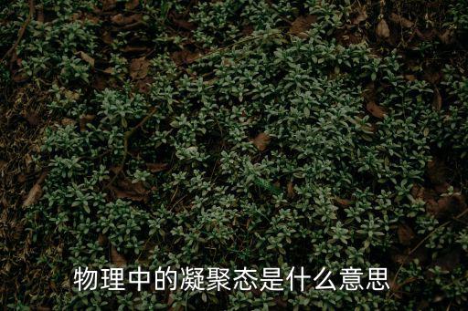 物理中的凝聚態是什么意思