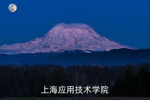 上海應用技術學院