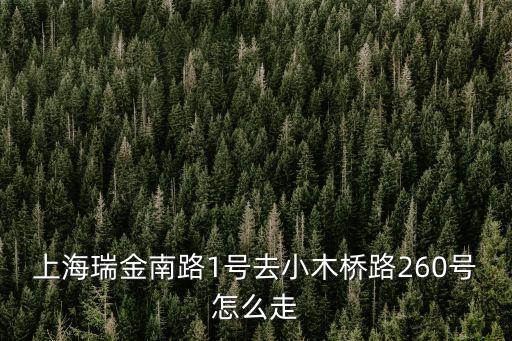 上海瑞金南路1號去小木橋路260號怎么走