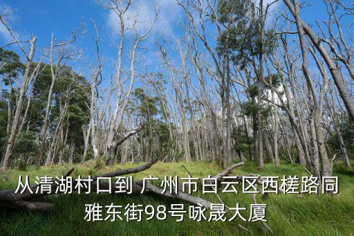 從清湖村口到 廣州市白云區西槎路同雅東街98號詠晟大廈