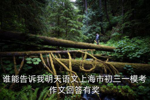 誰能告訴我明天語文上海市初三一模考作文回答有獎