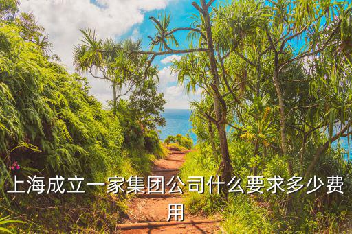 上海成立一家集團(tuán)公司什么要求多少費(fèi)用