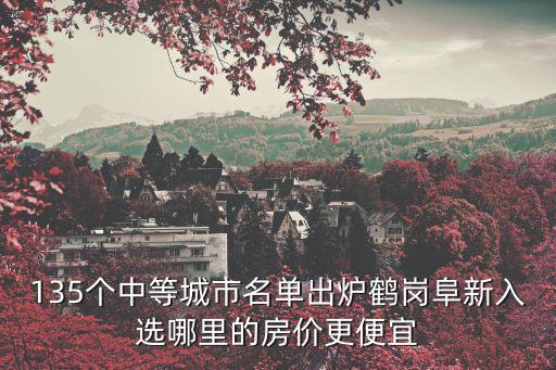 135個(gè)中等城市名單出爐鶴崗阜新入選哪里的房?jī)r(jià)更便宜