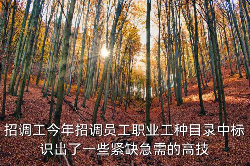 招調工今年招調員工職業工種目錄中標識出了一些緊缺急需的高技