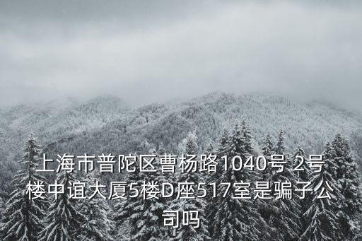 上海公共支付一網(wǎng)通辦，上海延安西路1088號(hào)長(zhǎng)峰中心15樓1509室是什么公司