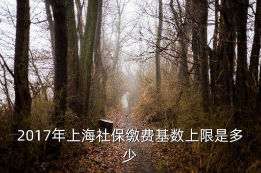 2017年上海社保繳費基數上限是多少