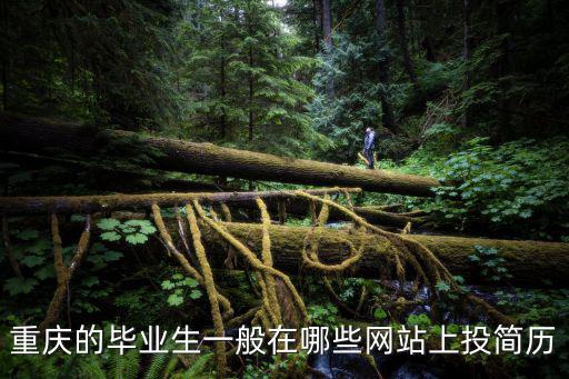 重慶的畢業生一般在哪些網站上投簡歷