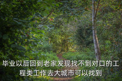 畢業以后回到老家發現找不到對口的工程類工作去大城市可以找到