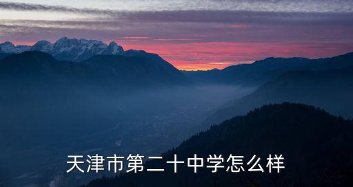天津市第二十中學怎么樣