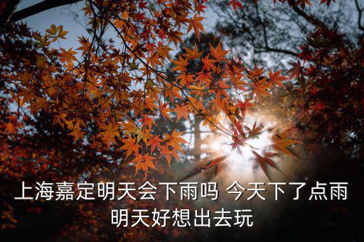 上海嘉定明天會下雨嗎 今天下了點雨明天好想出去玩