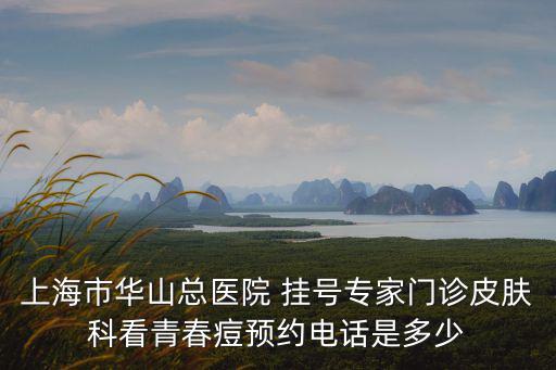 上海市華山總醫(yī)院 掛號(hào)專家門診皮膚科看青春痘預(yù)約電話是多少