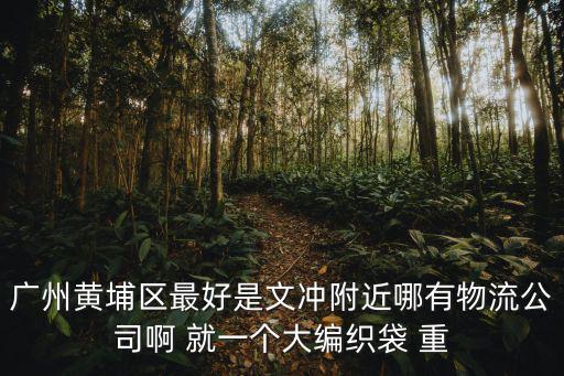 廣州黃埔區(qū)最好是文沖附近哪有物流公司啊 就一個大編織袋 重