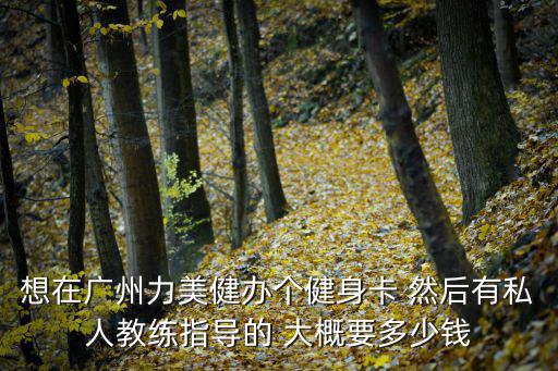 想在廣州力美健辦個健身卡 然后有私人教練指導(dǎo)的 大概要多少錢