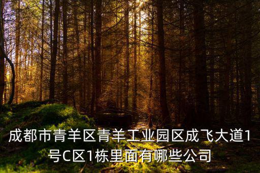 成都市青羊區(qū)青羊工業(yè)園區(qū)成飛大道1號C區(qū)1棟里面有哪些公司