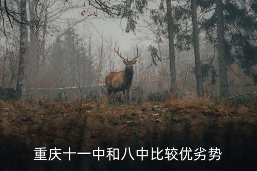 重慶十一中和八中比較優劣勢