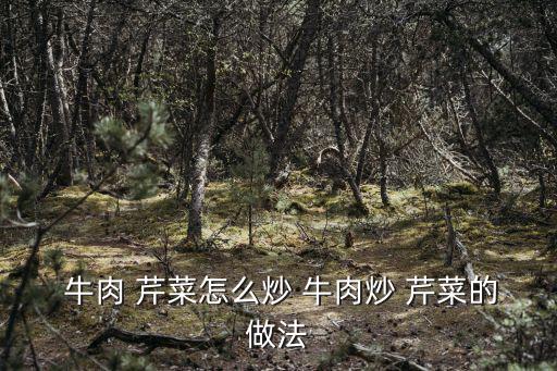 牛肉 芹菜怎么炒 牛肉炒 芹菜的做法