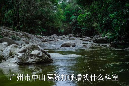 廣州市中山醫(yī)院打呼嚕找什么科室