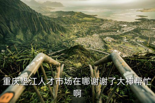 重慶墊江人才市場在哪謝謝了大神幫忙啊