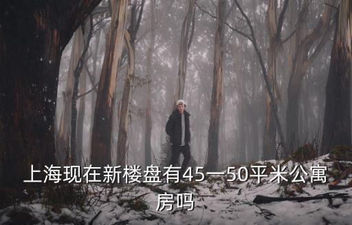 上海現在新樓盤有45一50平米公寓房嗎