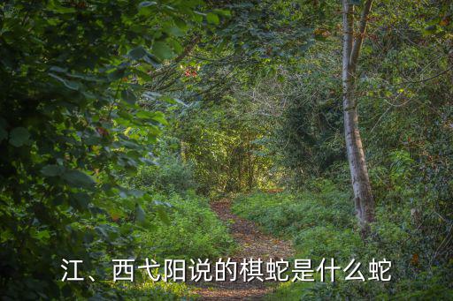 江、西弋陽說的棋蛇是什么蛇