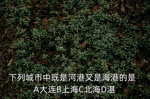 下列城市中既是河港又是海港的是  A大連B上海C北海D湛