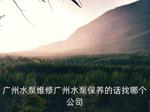 廣州水泵維修廣州水泵保養的話找哪個公司