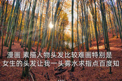 漫畫 素描人物頭發比較難畫特別是 女生的頭發讓我一頭霧水求指點百度知...