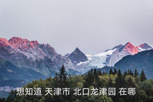 想知道 天津市 北口龍津園 在哪