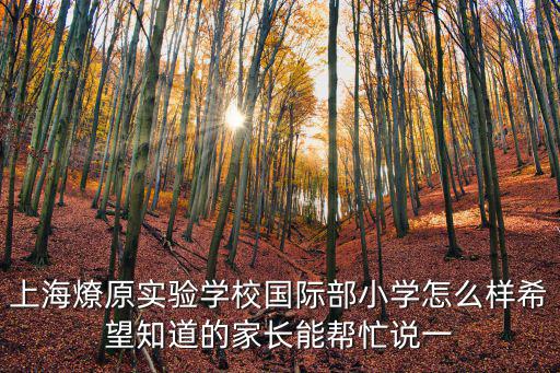 上海燎原實驗學(xué)校國際部小學(xué)怎么樣希望知道的家長能幫忙說一
