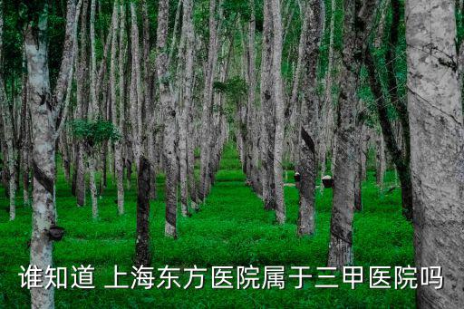 誰知道 上海東方醫院屬于三甲醫院嗎