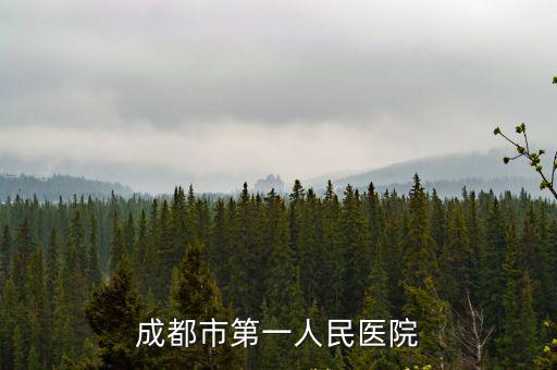 成都市第一人民醫(yī)院掛號app下載安裝，成都第一人民醫(yī)院能不能進(jìn)行電話預(yù)約掛號