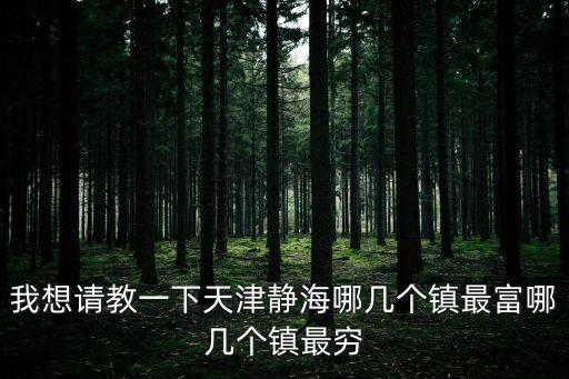 我想請教一下天津靜海哪幾個鎮最富哪幾個鎮最窮