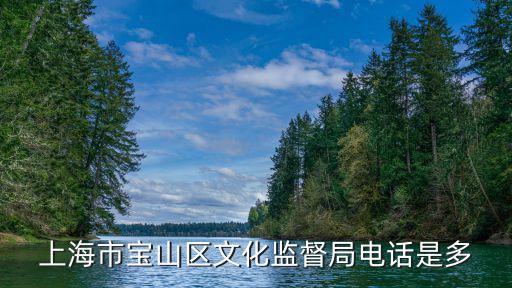 上海寶山世界外國語學校，上海哪個外國語學校好一點