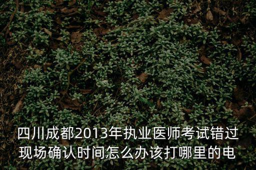 四川成都2013年執(zhí)業(yè)醫(yī)師考試錯過現(xiàn)場確認時間怎么辦該打哪里的電